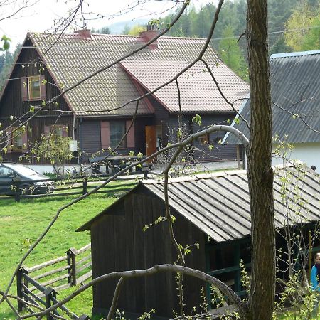 Salamandra Appartement Krempna Buitenkant foto