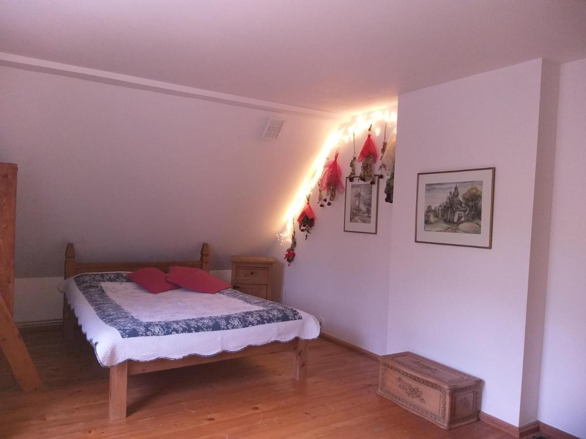Salamandra Appartement Krempna Buitenkant foto