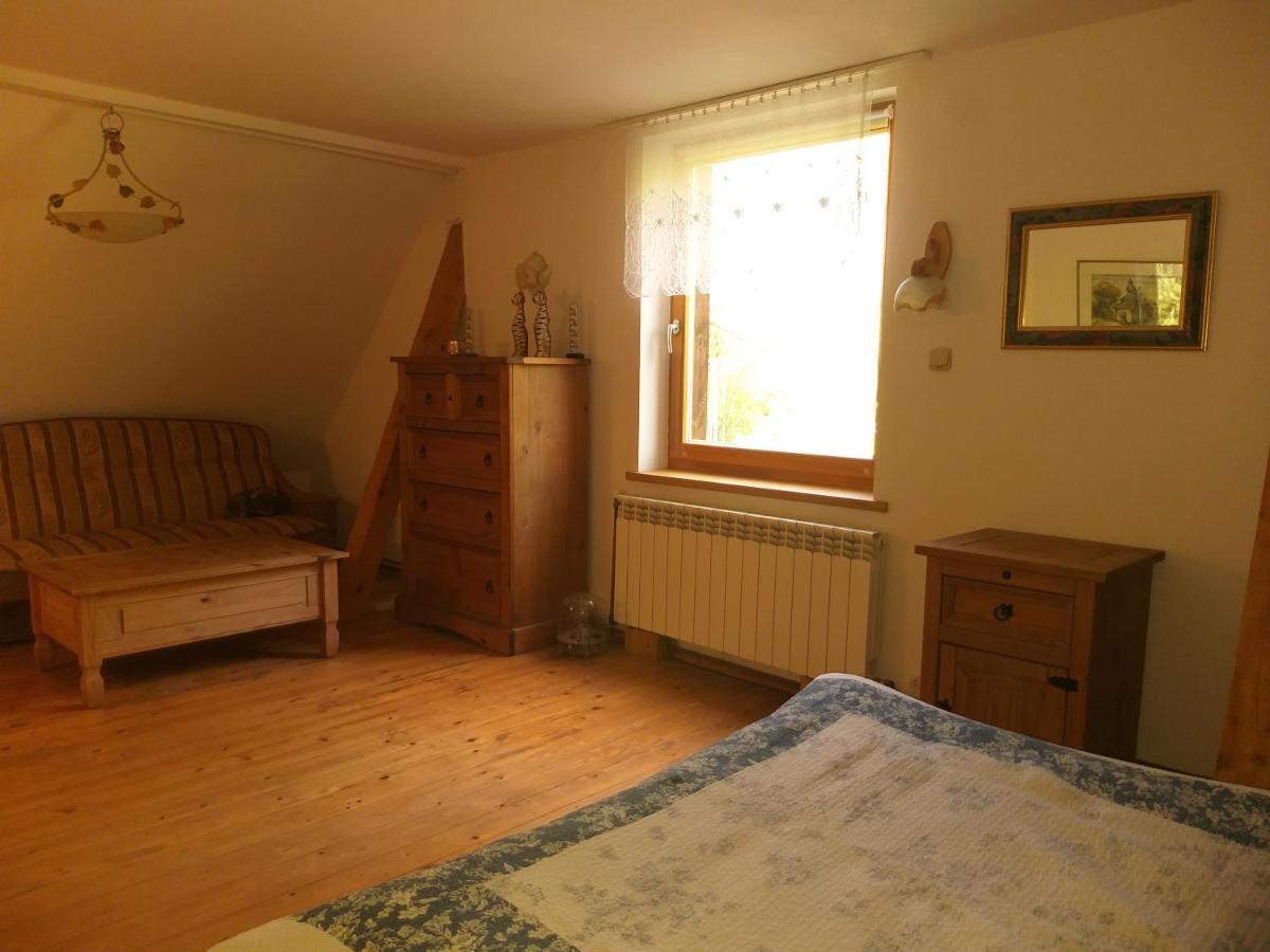 Salamandra Appartement Krempna Buitenkant foto
