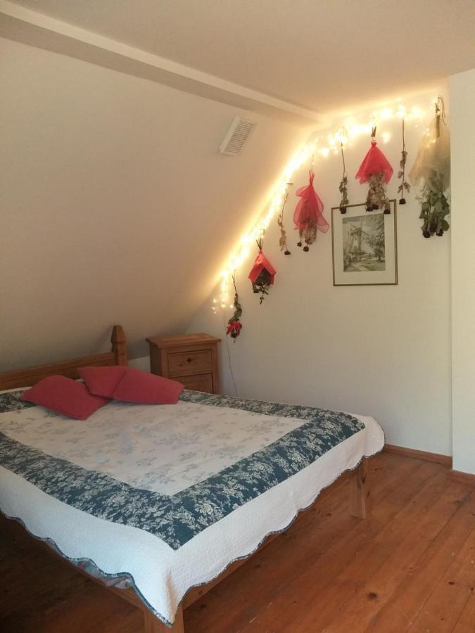 Salamandra Appartement Krempna Buitenkant foto