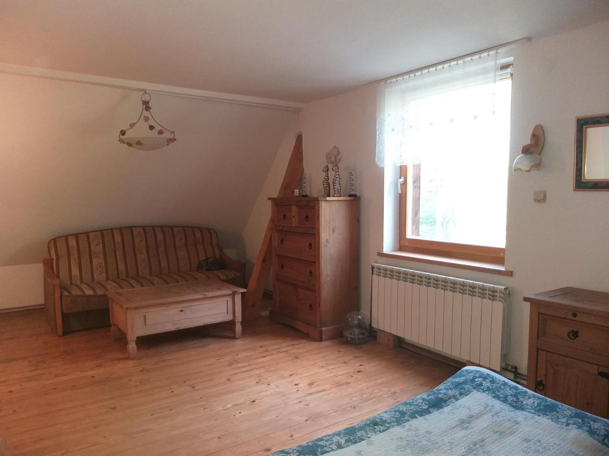 Salamandra Appartement Krempna Buitenkant foto
