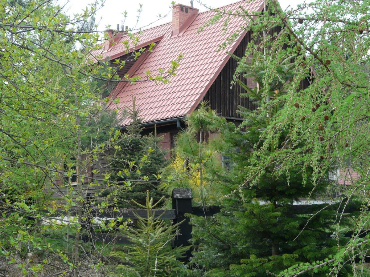 Salamandra Appartement Krempna Buitenkant foto