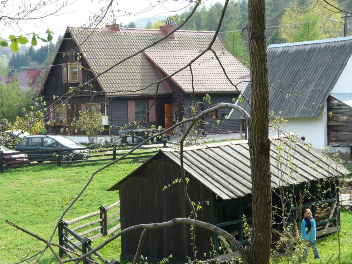 Salamandra Appartement Krempna Buitenkant foto